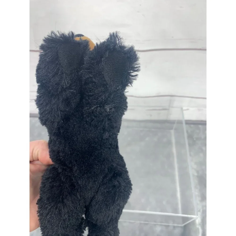 Souvenirs of The Smokies‎ 9 inch Plush Black Bear Toy